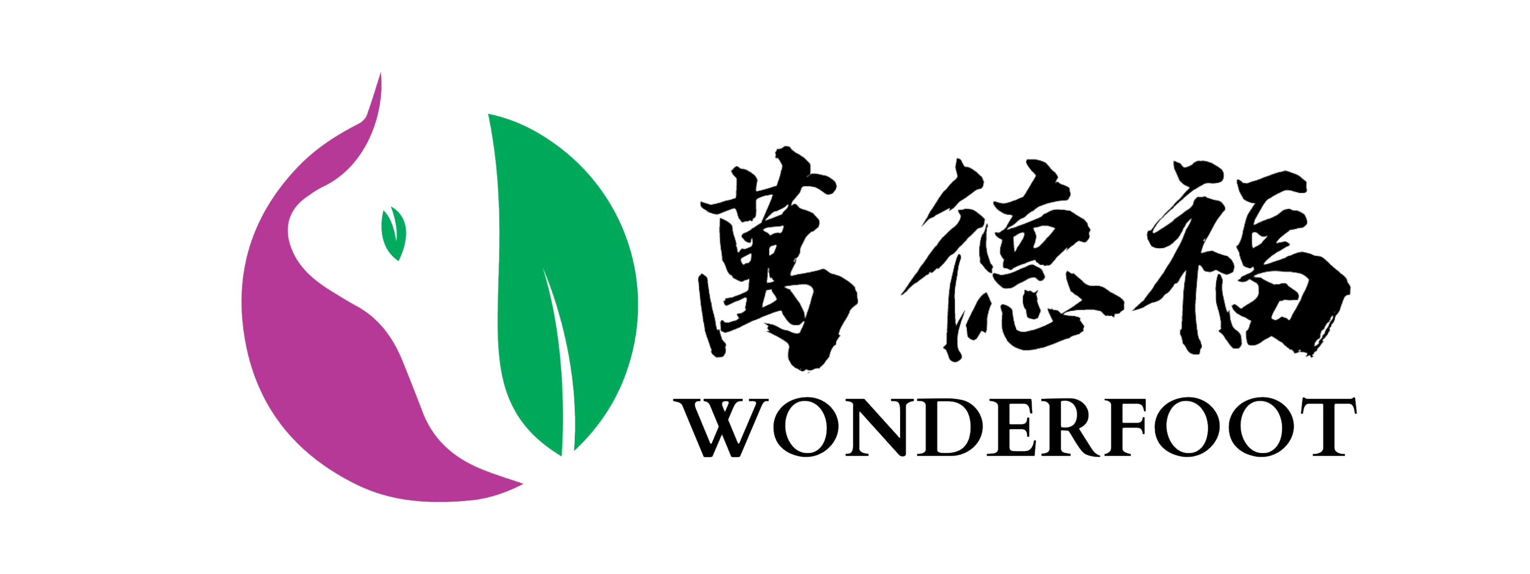 Wonderfoot